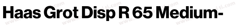 Haas Grot Disp R 65 Medium字体转换